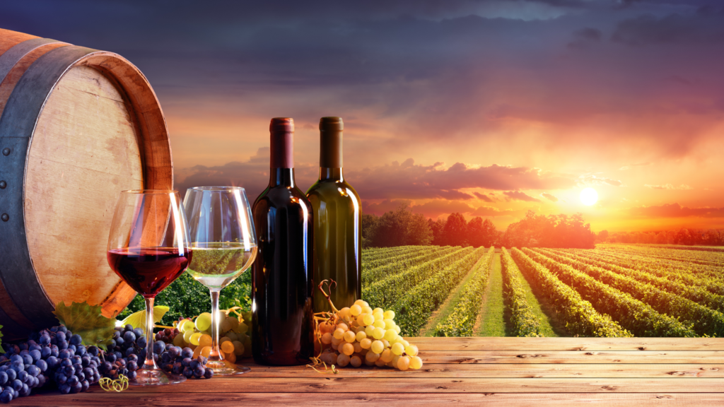 wine tasting while traveling