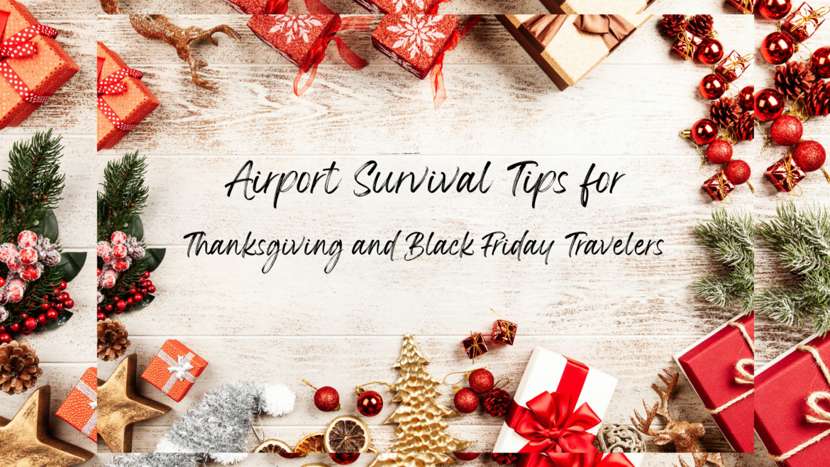 airport survival tips blog banner (1)
